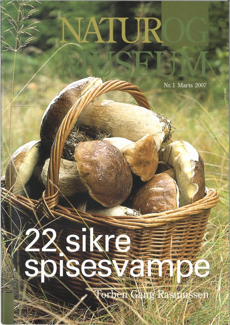 22 sikre spisesvampe